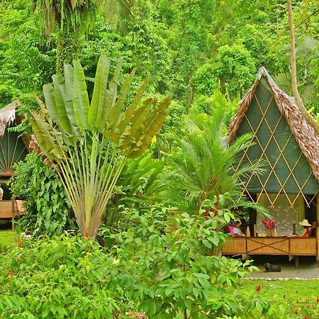 Finca Exotica Eco Lodge Carate Екстер'єр фото