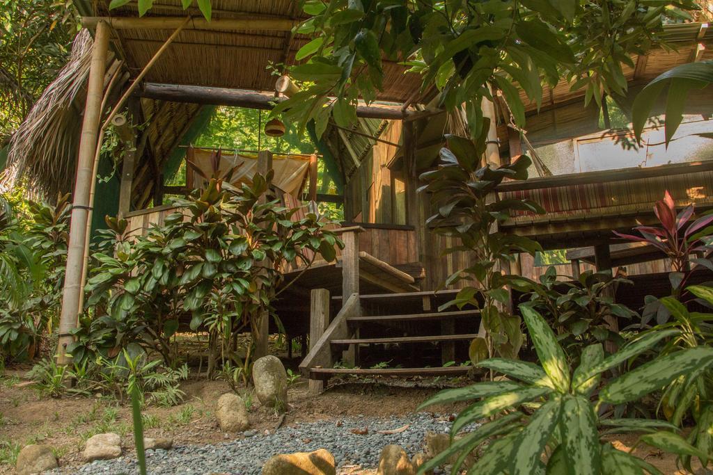 Finca Exotica Eco Lodge Carate Екстер'єр фото