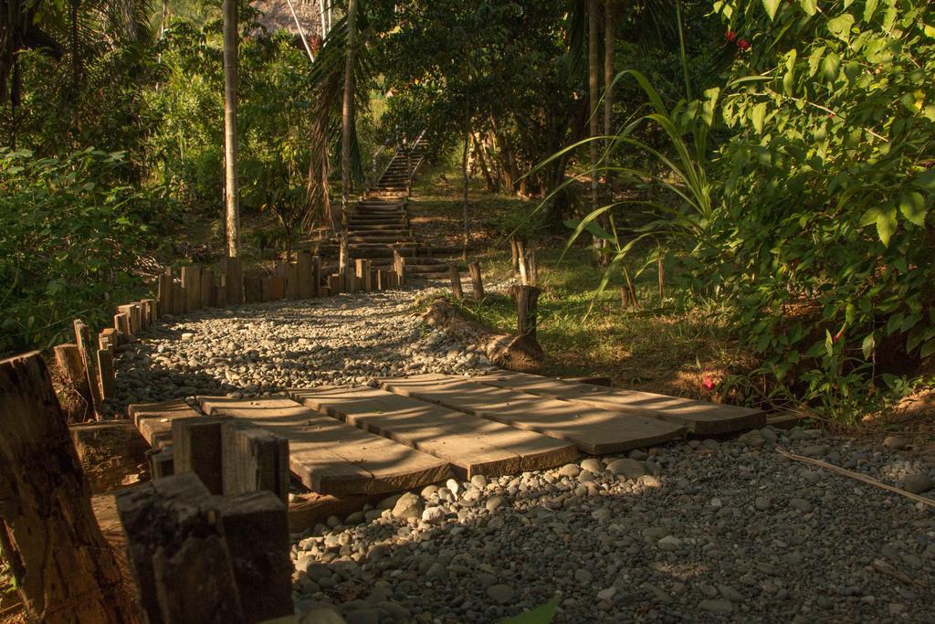 Finca Exotica Eco Lodge Carate Екстер'єр фото