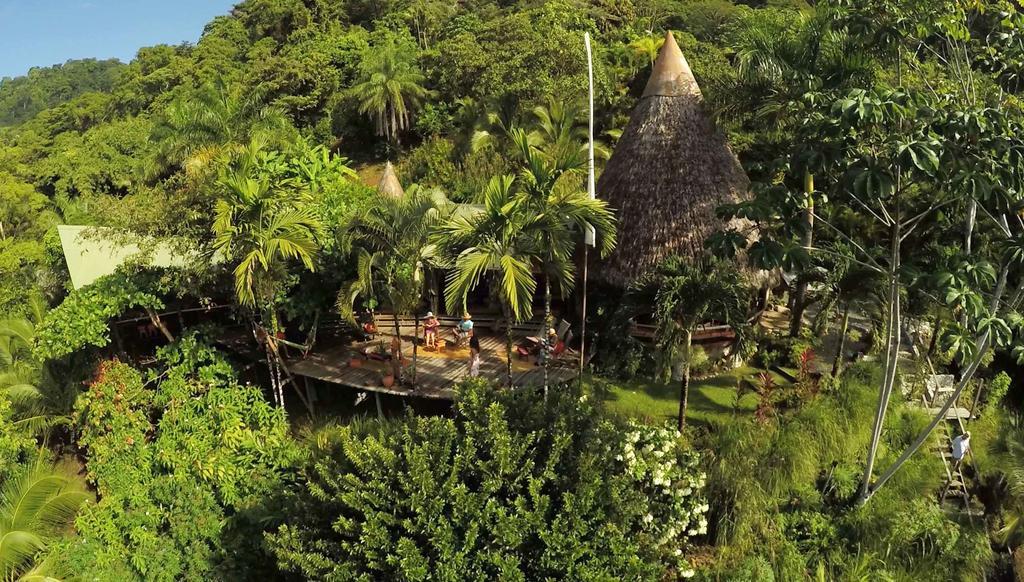 Finca Exotica Eco Lodge Carate Екстер'єр фото