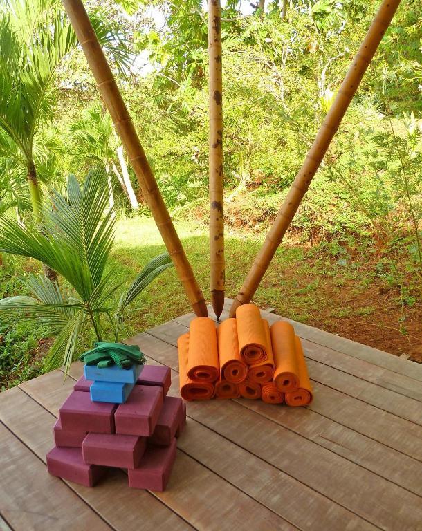 Finca Exotica Eco Lodge Carate Екстер'єр фото